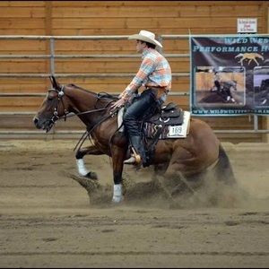 Meet your Posher, Lane